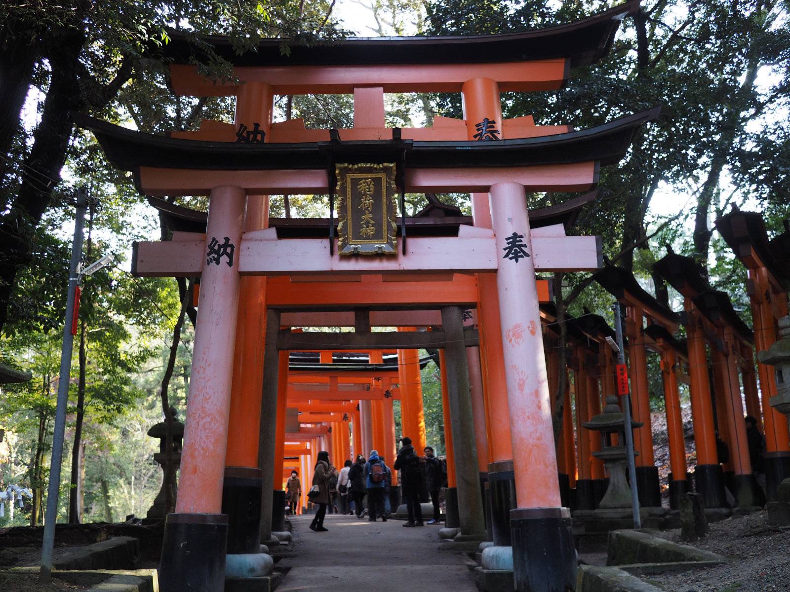 Fushimi-Inari gate