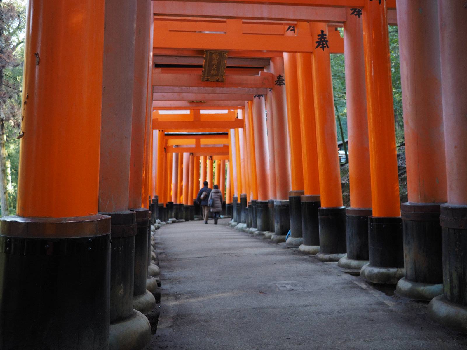 Fushimi-Inari Taisha gate