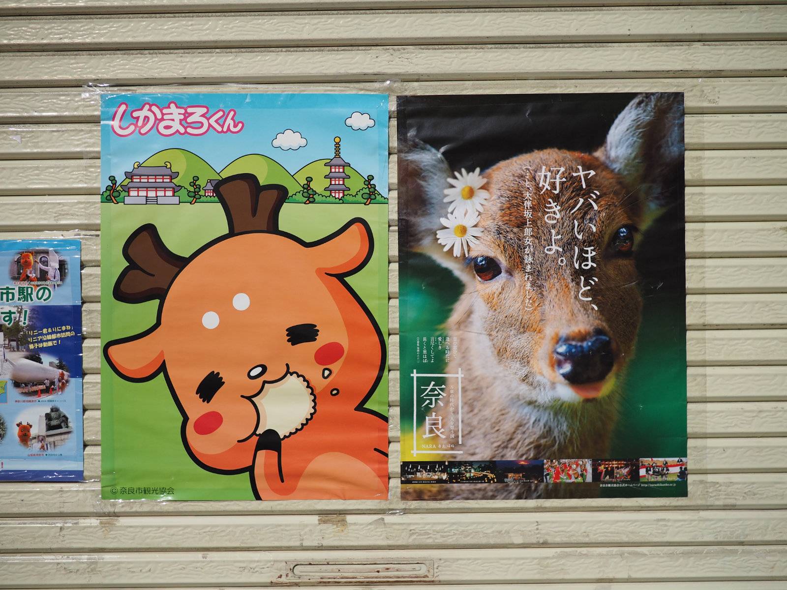 Poster of a cute cartoon deer, and a photo of the actual cute deer