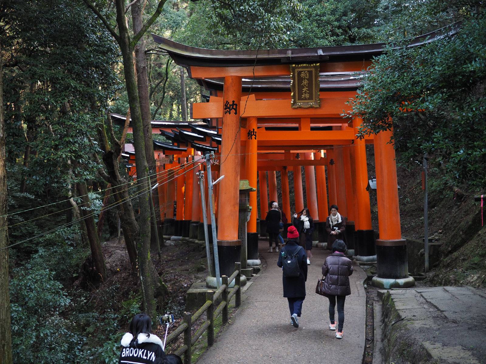 Fushimi-Inari Taisha visitors