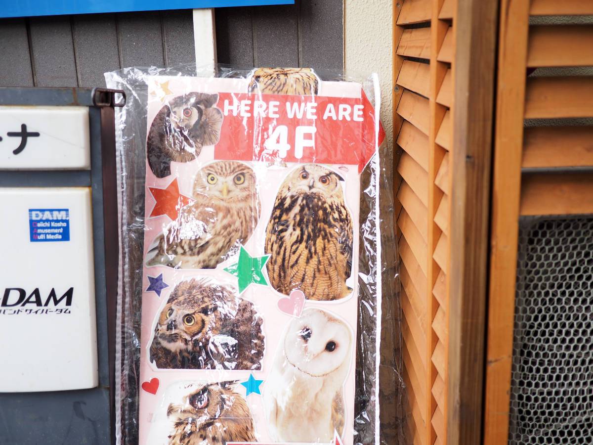 Owl café sign