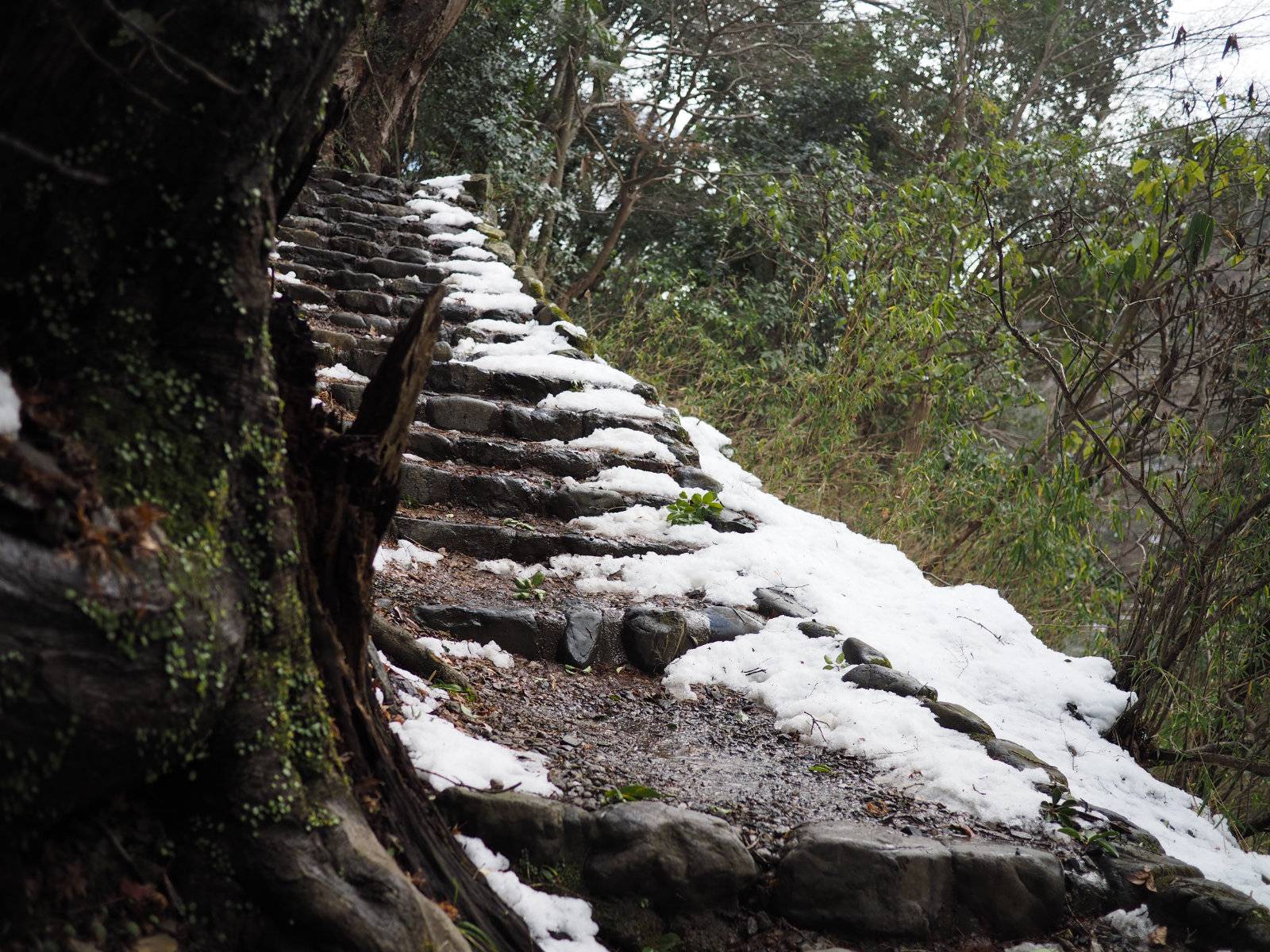 Snow capped steps
