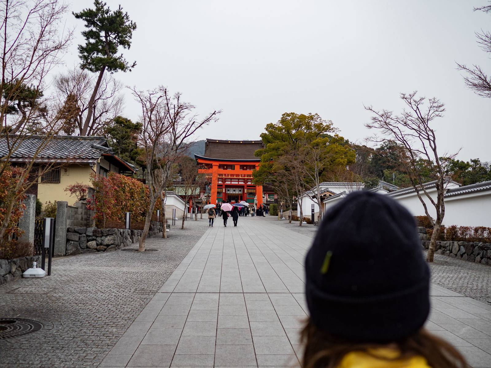 Walking through Fushimi Inari Taisha
