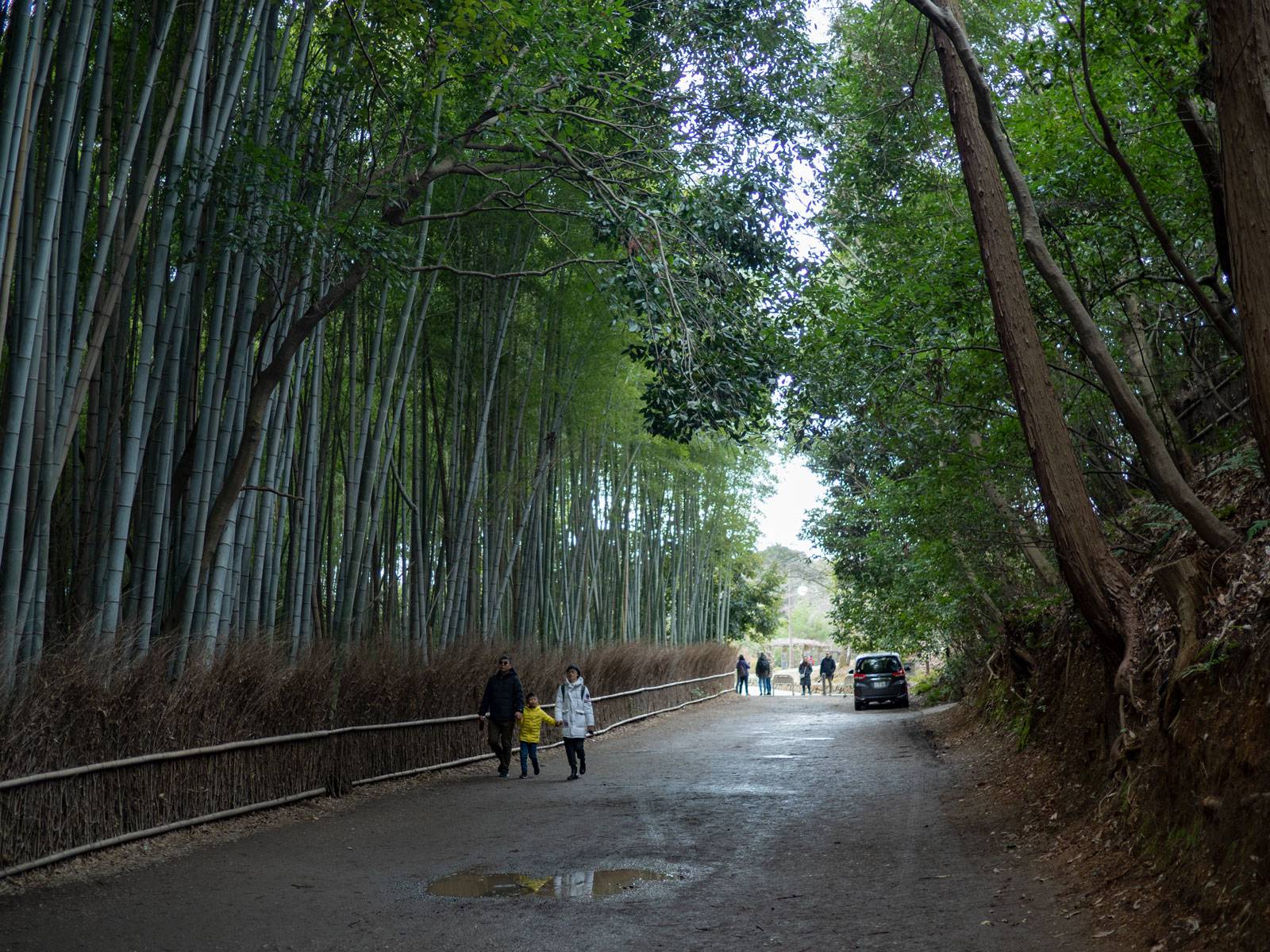 Arashiyama Bamboo Grove entrance