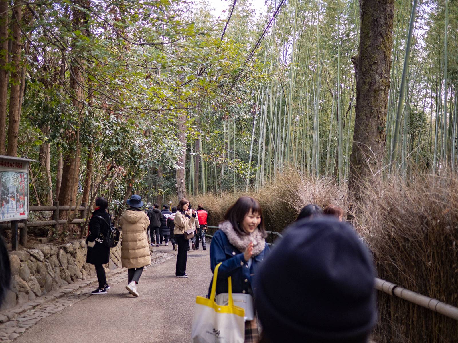 Reaching the bottom of the bamboo grove
