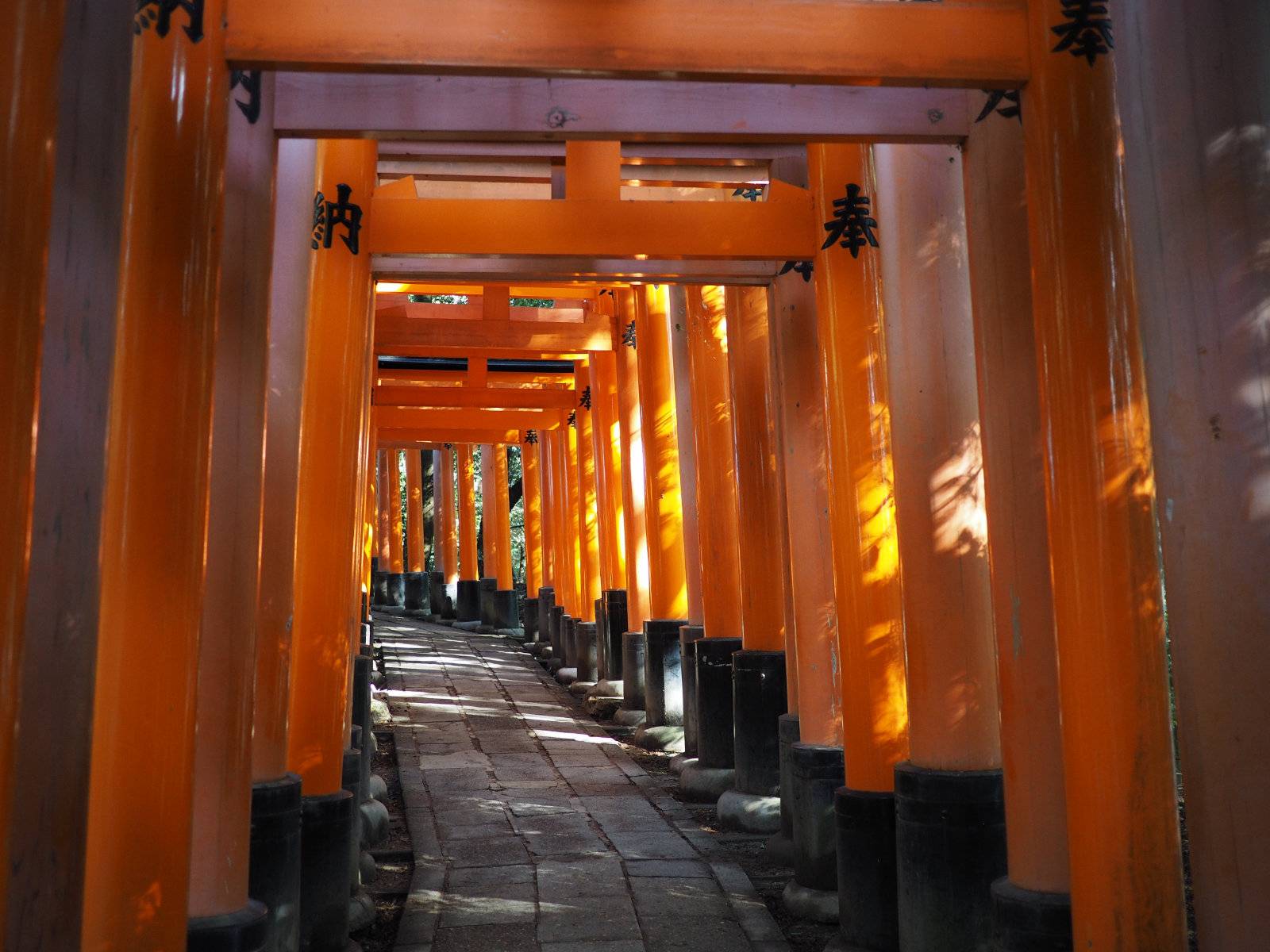 Fushimi-Inari gates