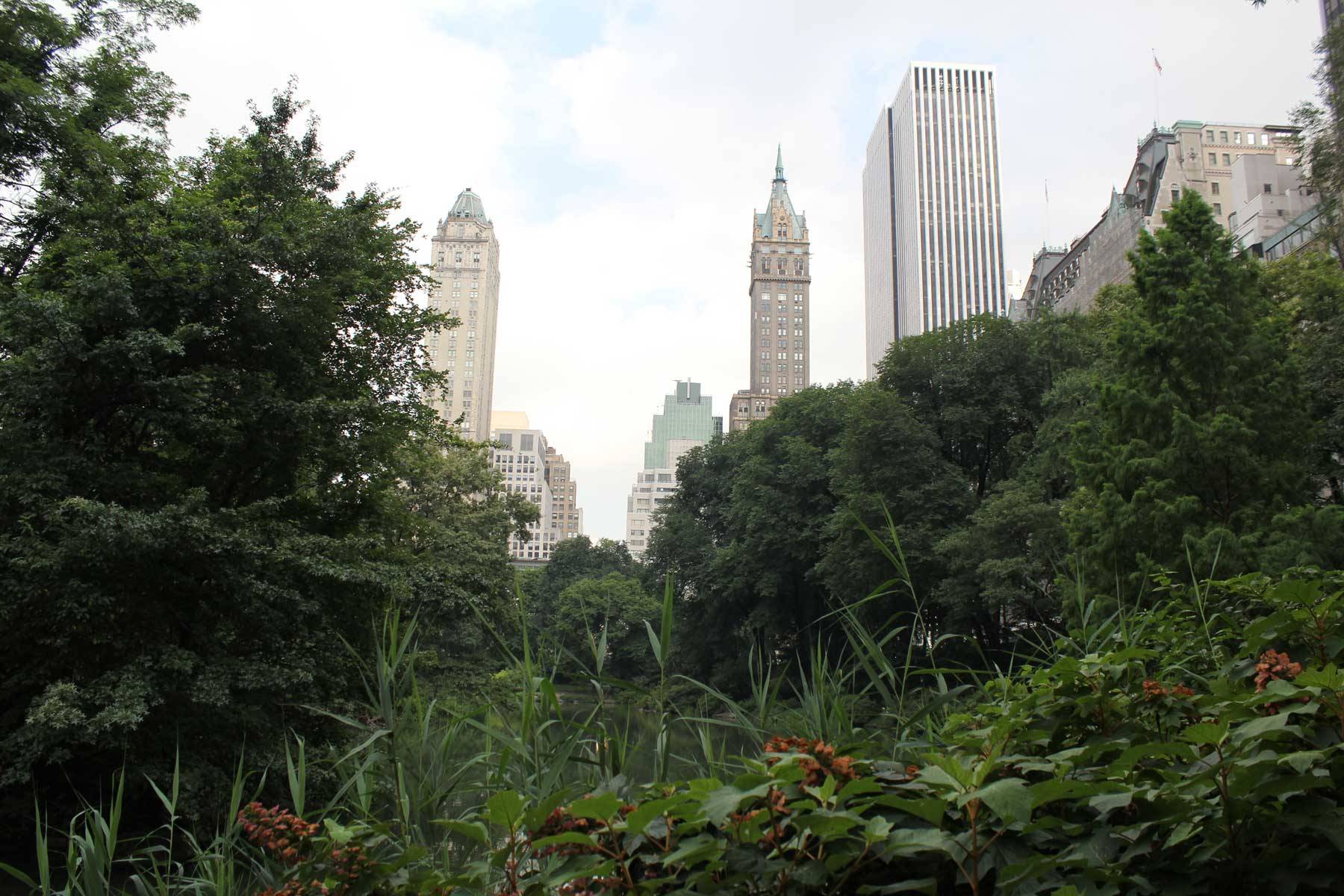 Manhattan skyscrapers visible from Central Park
