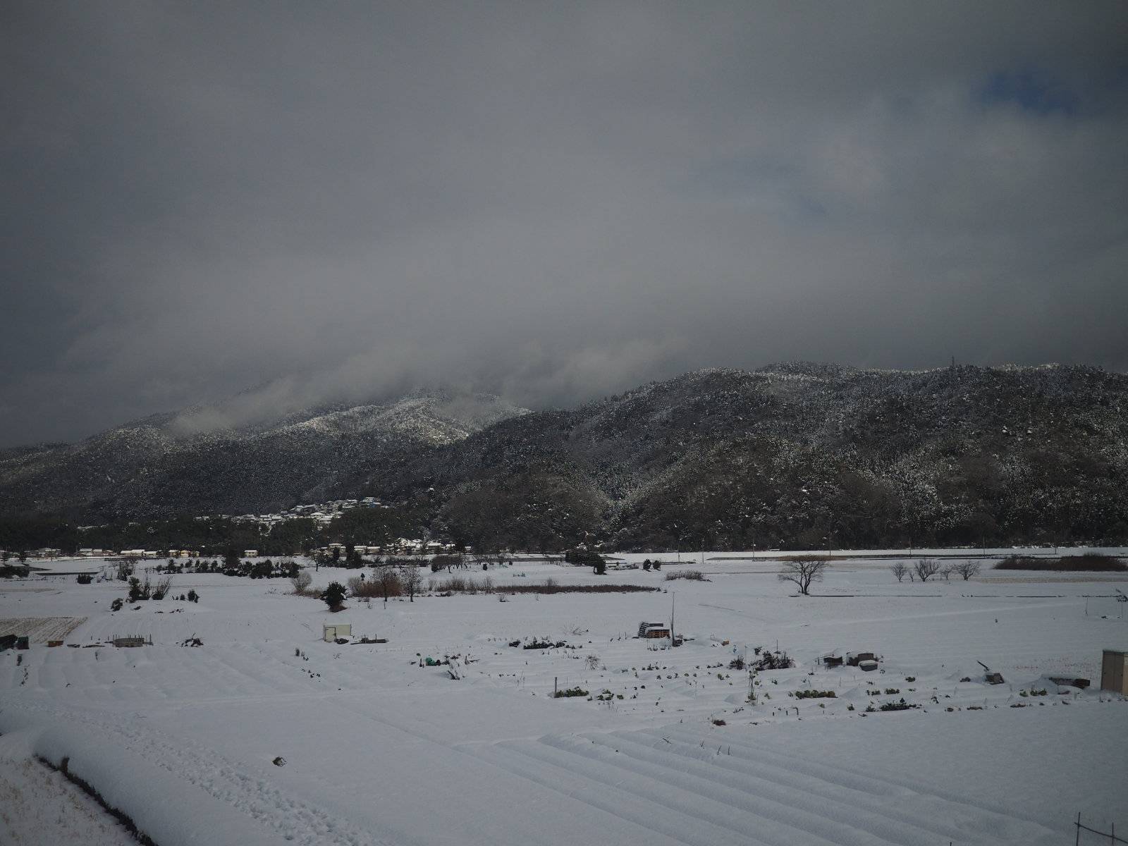 Snowy mountain fields