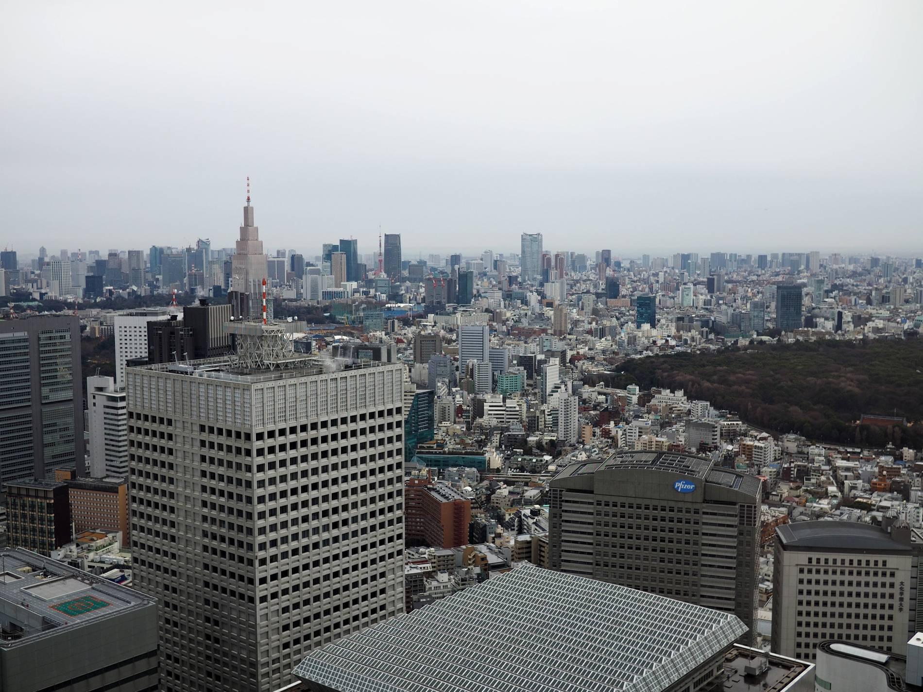 Shinjuku Views