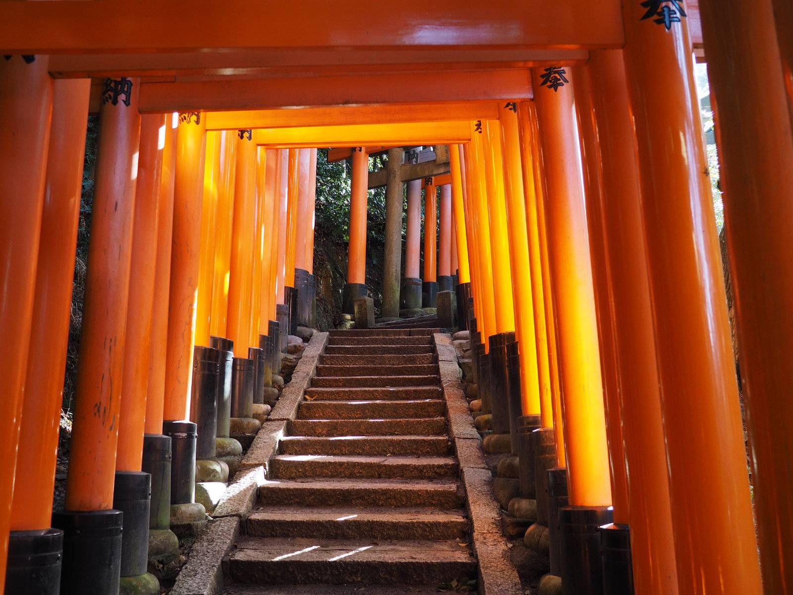 Continuing further up Fushimi Inari Taisha