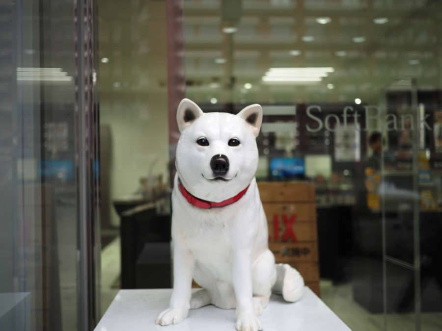 SoftBank dog mascot