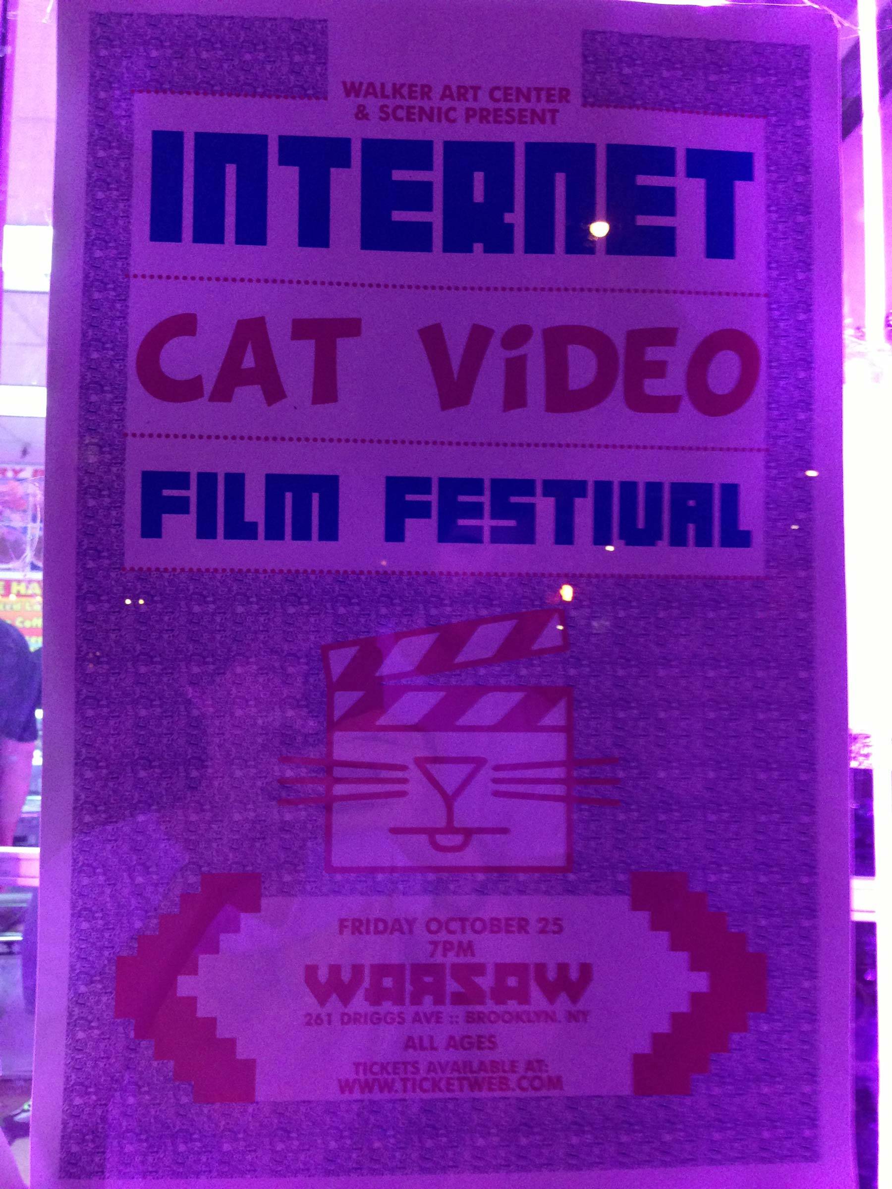 Internet cat video film festival