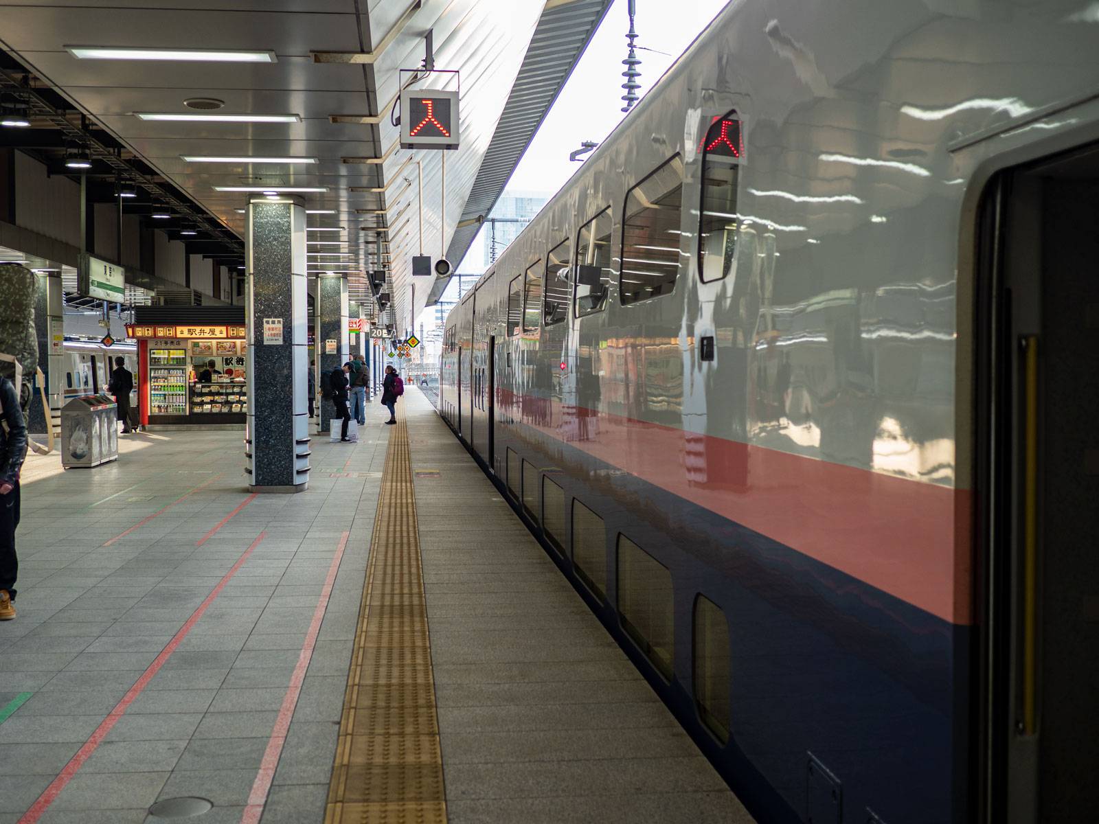 Emerging from the Shinkansen