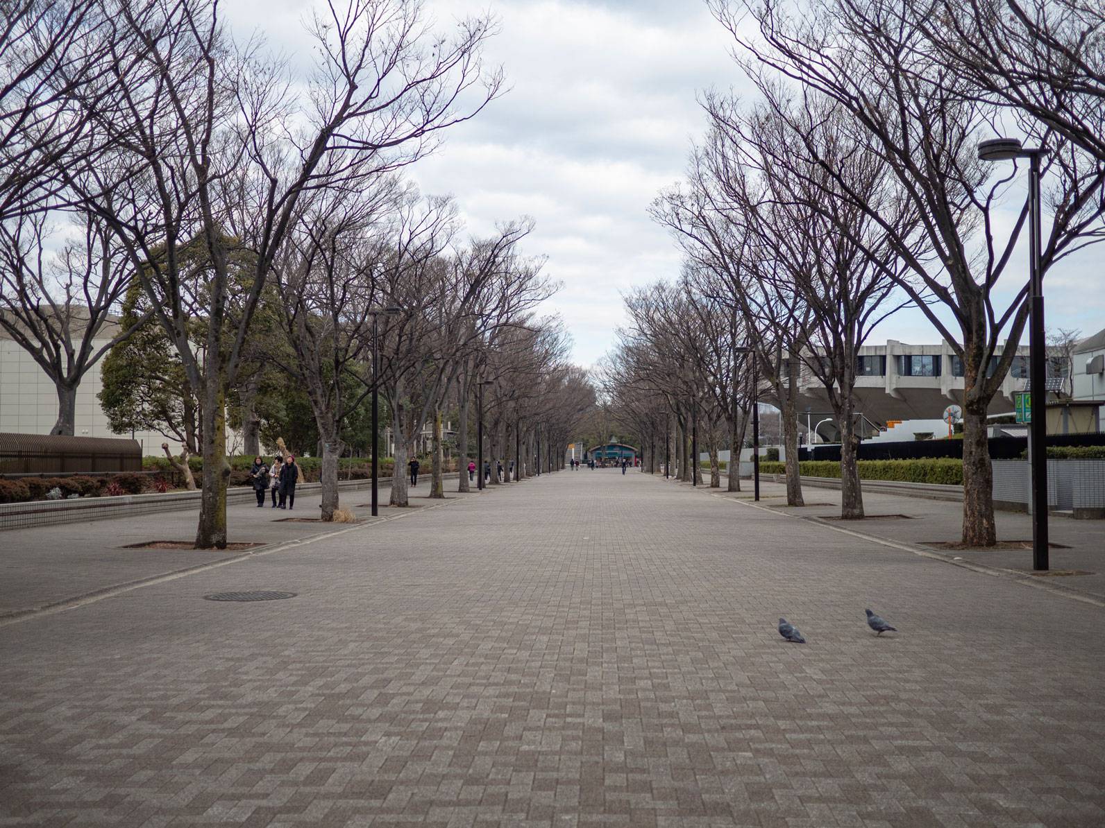 Walking towards Yoyogi Park