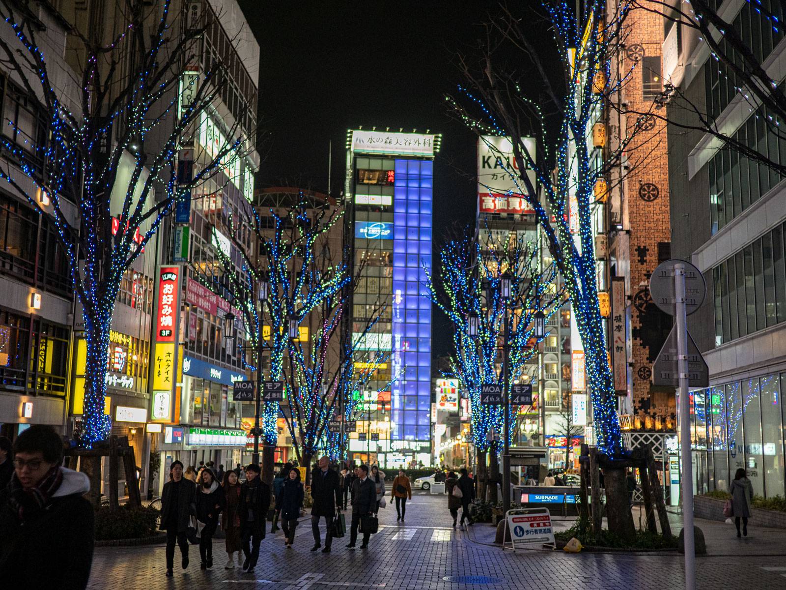 Bright Shinjuku streets with trees covered in lights