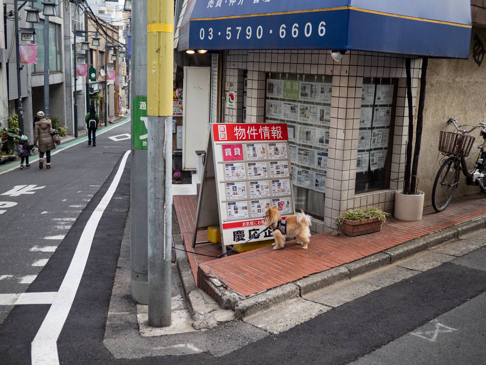 Real estate office with dog out front