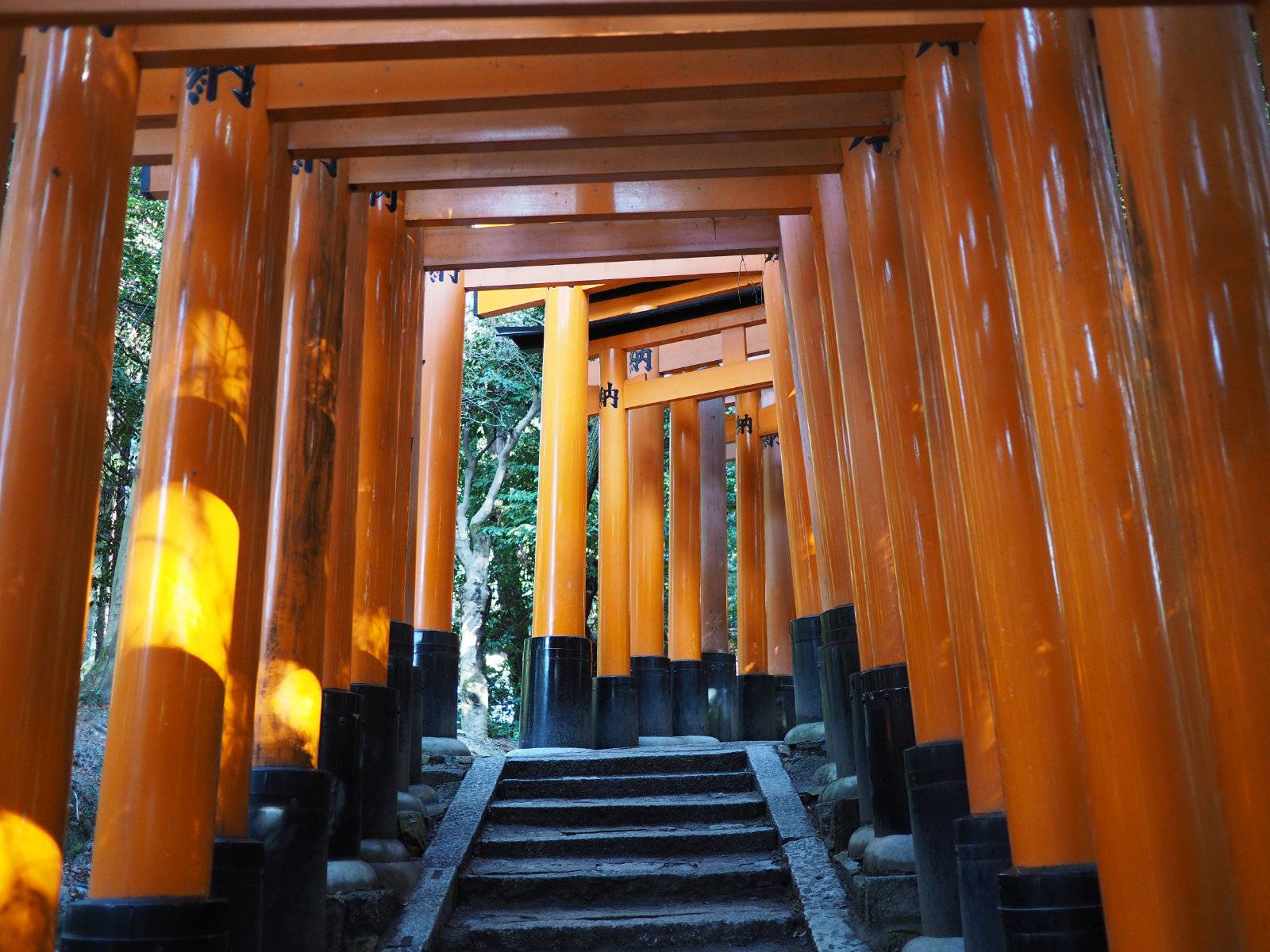 Ascending up the Fushimi-Inari gates